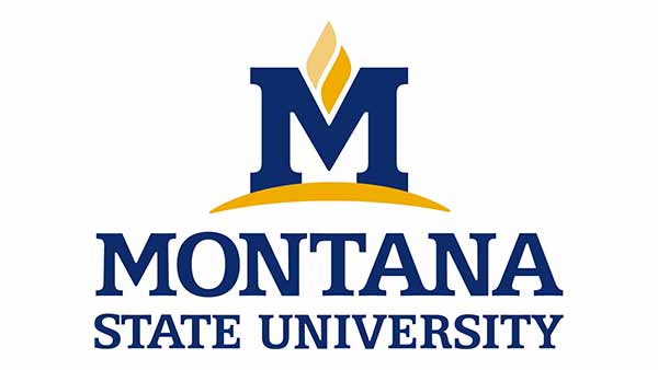 Montana State University