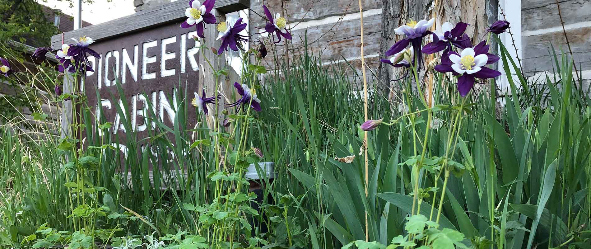 Adding Historical Perennials