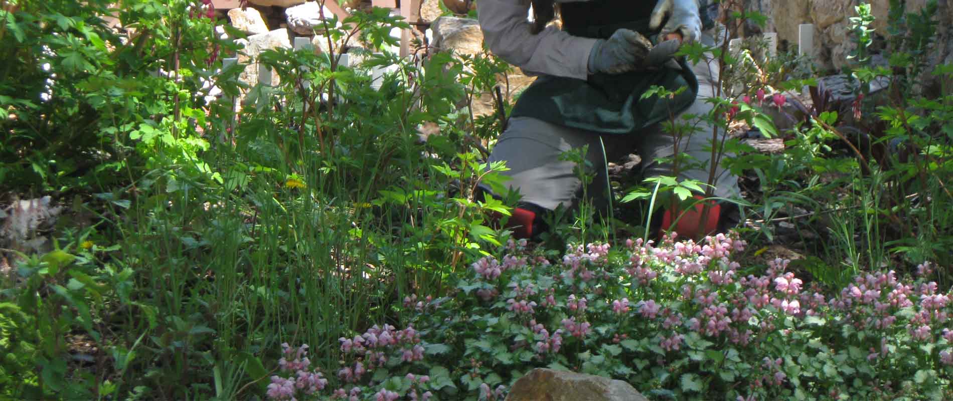 Maintaining Flower Beds